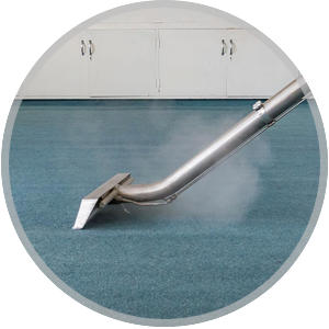 Area rug Cleaning Service Icon