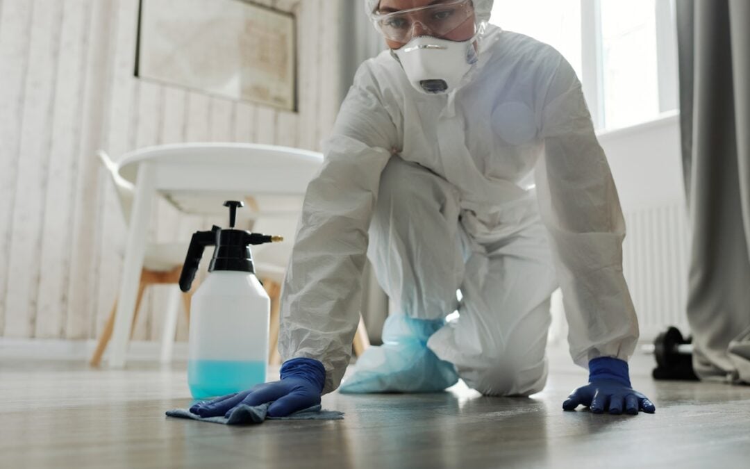 Beyond Vacuuming: What Floor Cleaning Companies Can Do