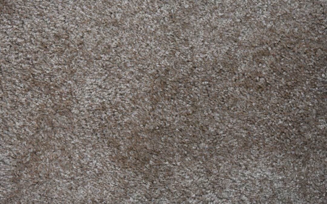 Dirty Carpets and Your Health: What You Need to Know
