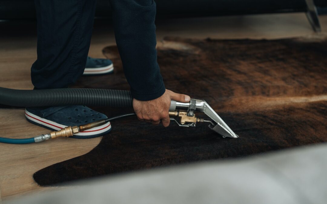 Secrets to Effective and Efficient Carpet Cleaning for a Healthy Home