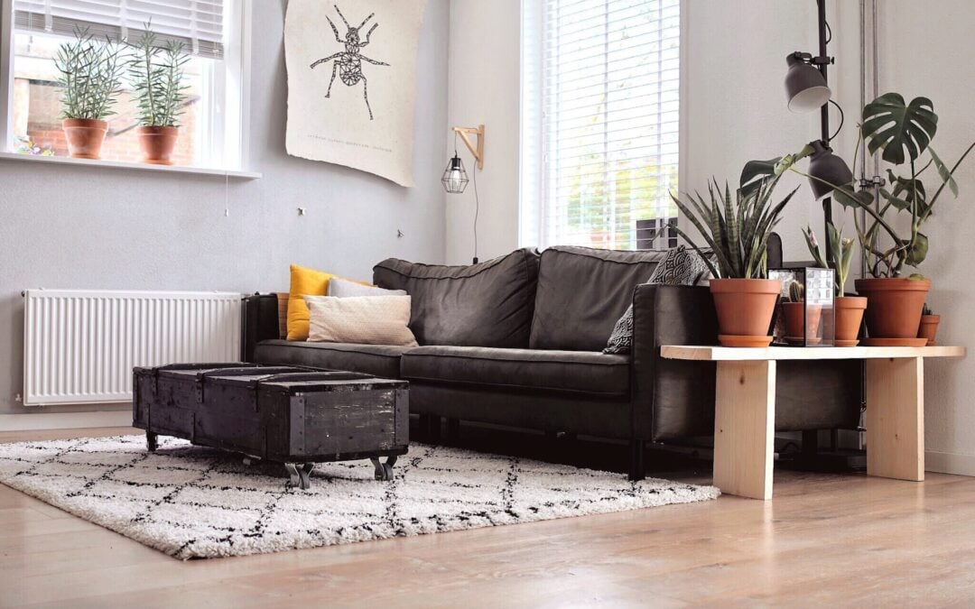 Tips for Maintaining Your Carpets Between Professional Cleanings