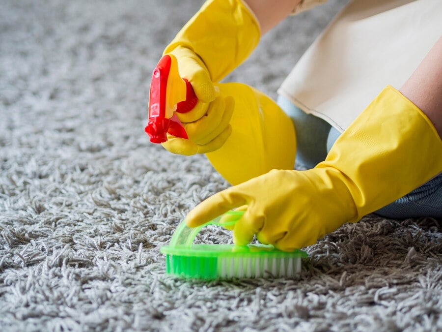 Household Stain Prevention: Tips to Protect Your Carpets from Common Stains