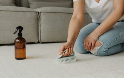 The Secrets to Effective Carpet Cleaning at Home