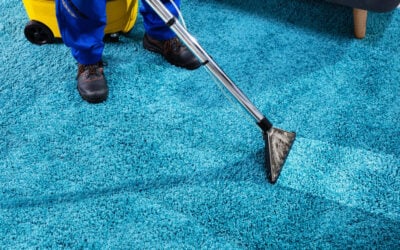 Benefits Of Regular Commercial Carpet Cleaning