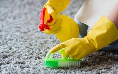 How Often Should You Schedule Rug Cleaning?
