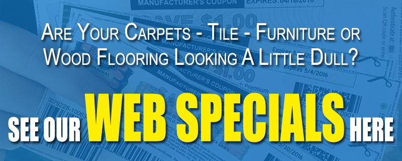 Web Specials widget image1 | Carpet Cleaning Greater Atlanta