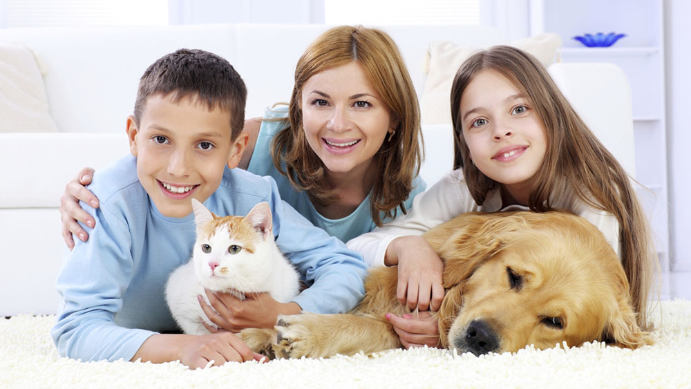 Pet Urine and Odor Removal Service ATL Clean | Carpet Cleaning Greater Atlanta