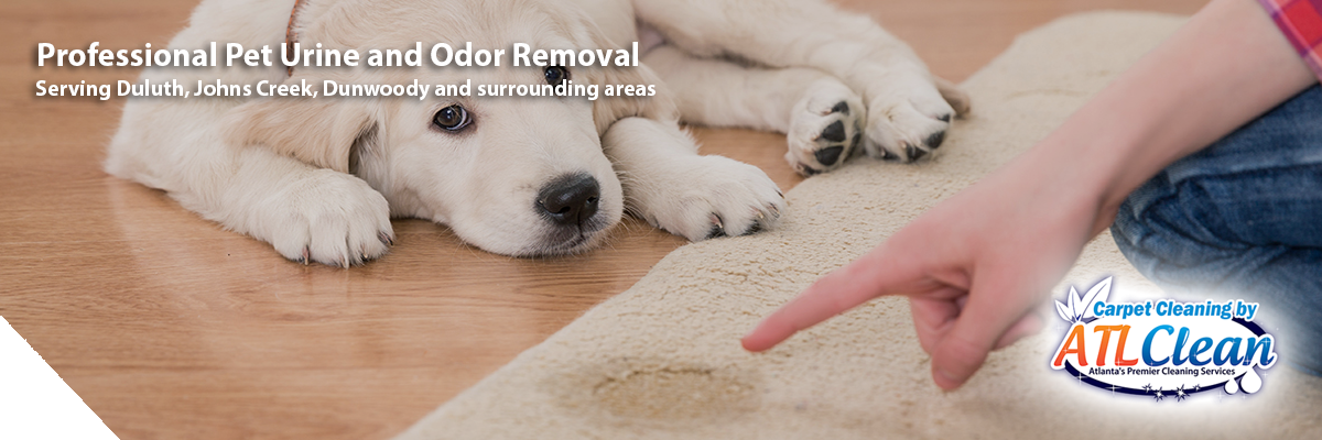 pet urine and odor removal service | Carpet Cleaning Greater Atlanta