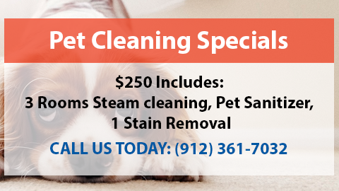 Pet Cleaning Specials