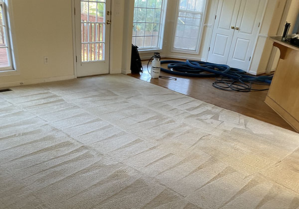 atl project 1 after 1 | Carpet Cleaning Greater Atlanta