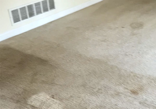 atl project 1 before 1 | Carpet Cleaning Greater Atlanta