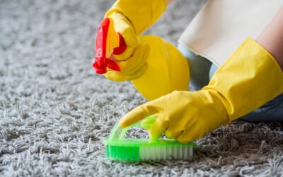 Household Stain Prevention: Tips to Protect Your Carpets from Common Stains