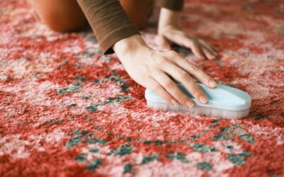 Humidity and Carpet Care: Understanding the Effects and Solutions