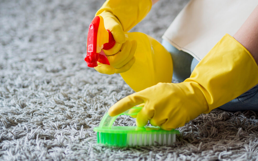 Easy Fixes for Common Carpet Damages