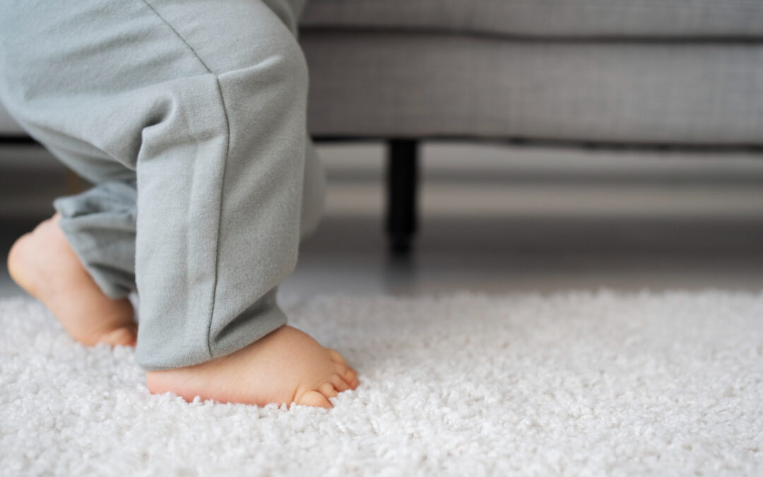 How to Keep Your Carpet Clean All Year Long