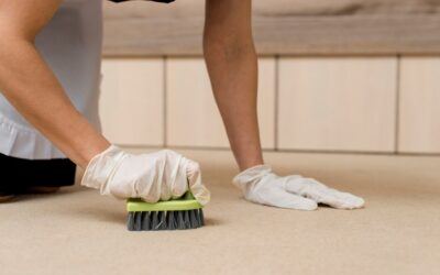 Proven Solutions to Remove Common Stains on Carpets