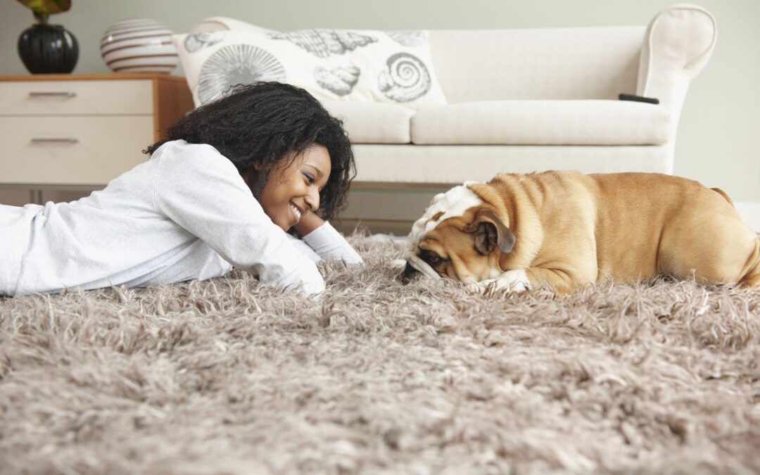 Effective Ways To Remove Stubborn Pet Odors From Carpets