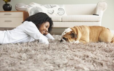 Effective Ways To Remove Stubborn Pet Odors From Carpets